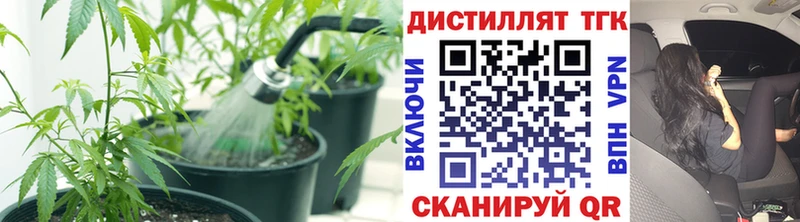 ТГК гашишное масло  Аргун 