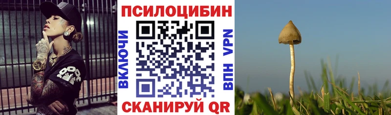 Галлюциногенные грибы GOLDEN TEACHER  Аргун 